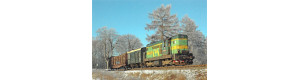 Pohlednice, Motorová lokomotiva 742 156-3 U Červeného Potoka, Letohradský železniční klub 119-2022